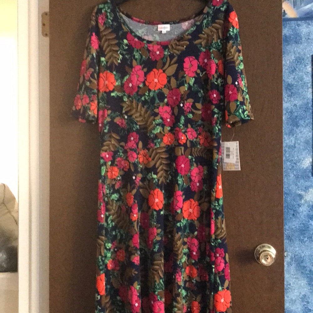 NWT LuLaRoe Ana Dress